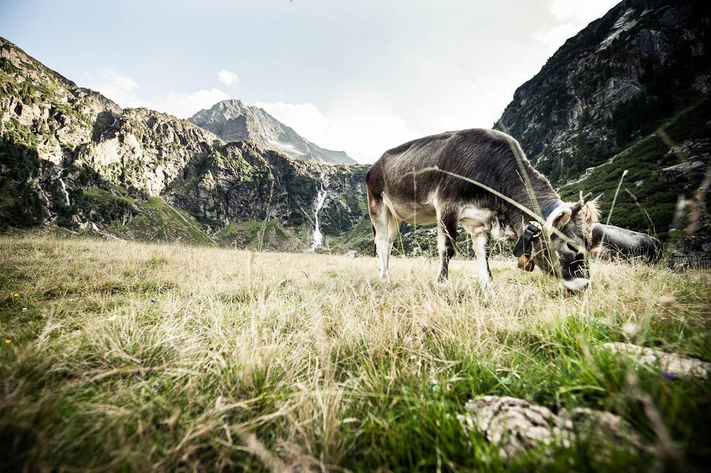 Alpenchalet Vital نيوستيف ام ستوبيتا المظهر الخارجي الصورة
